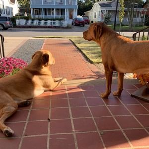 Meet your Posher, Sharon